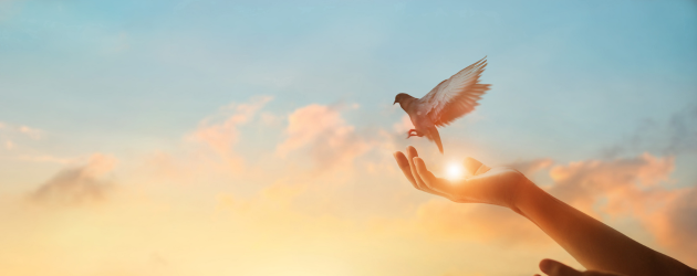 définition des 5 blessures de l'âme